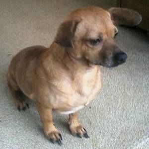 Meet your Posher, Alberto